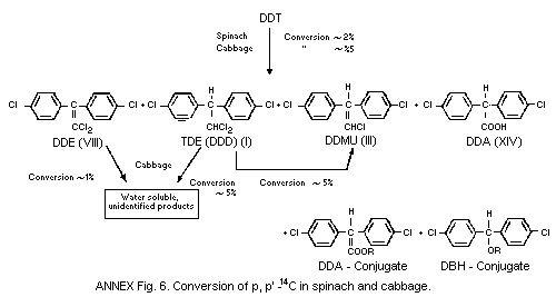تتراكلرواتان ( TDE )